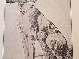 Vecky druhy ps, autor Vclav Fuchs, Praha 1903
