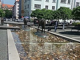 Kon v abachov parku u prochzej vodou. Kvten 2019 v Praze