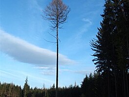 Svitavsk pahorkatina, bezen 2018