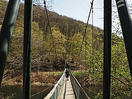 Hamersk lvka. Nrodn park Podyj, duben 2018