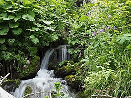 Hnilec. Nzk Tatry, erven 2018