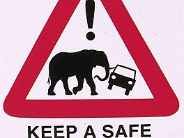 Pozor na slony
