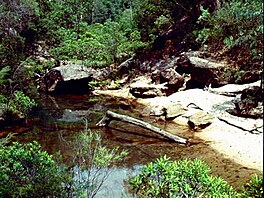 Kanooka Creek - Glenbrook, Austrlie