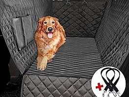 Zabezpeen psa v aut