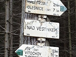 Lesy nad Vstnkem (Hornosvrateck vrchovina, bezen 2019)