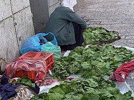 poulin prodej zeleniny