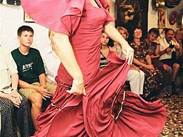 Granada - divok flamengo
