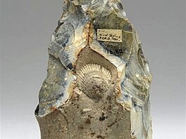 Pstn kln, pazourek (13,2 x 7,9 x 3,5 cm), 300 000 - 500 000 let, Norfolk,...