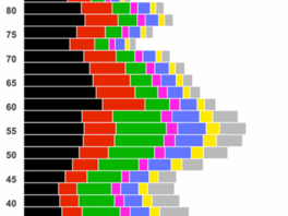 SRN eurovolby 5