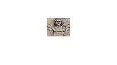 logo �lov��iny