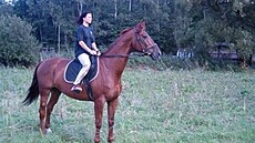 Vakandi - Tullamor