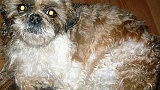 Rohá�ová - Holly 1