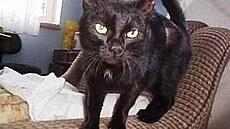 �t�tinka - B�tu�ka 