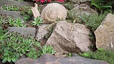 Xerxová - koupadla - talí�