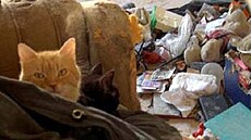 Jelínková - Zberatelia 1