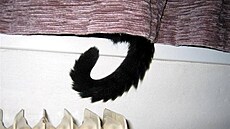 Kubelová - �ertík 3