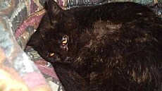 �t�tinka - �elvi�ka