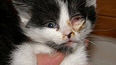 �rámková - povod�ová ko�ata 2