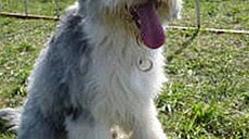 ztracená Bludi�ka 1