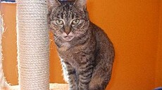 depozitum Vrbi�any 2