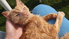 Kacálková - Hanulka 1