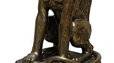 nová so�ka Akademie SFFH