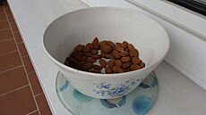 Mandle poslední den dopoledne