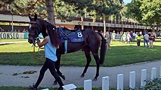 Velká Chuchle, dostihy