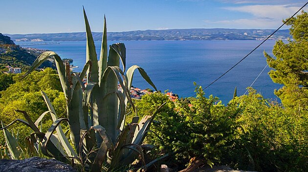 Pohledy dol k Omii. Jadran, duben 2024