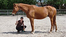 Dyktando je milá�ek