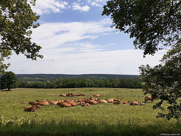 ZANINY CESTY: Orlické hory opatrně