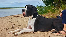 G2. Balt, fototestík