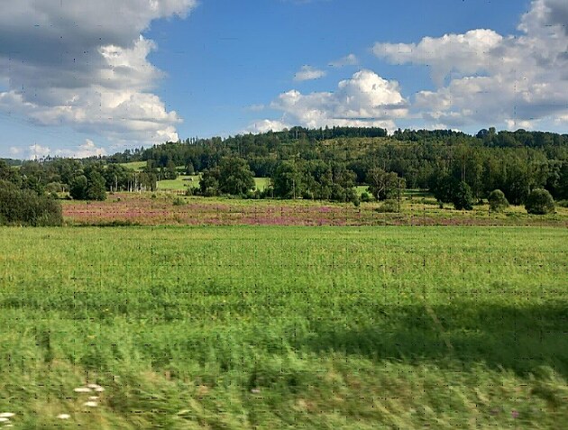 V�hledy (dovolen� v Lu�k�ch)