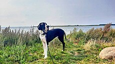 Na procházce s Yodou. Balt 2024