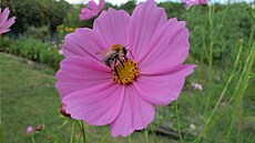 Krásenka, zá�í 2024