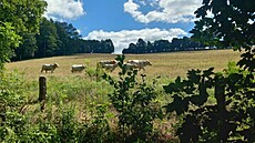 Lu�ické hory 2024