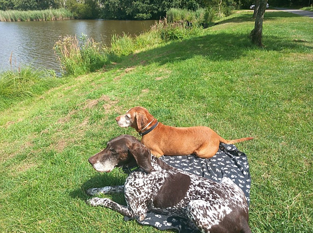 Rumíek a Tali. Dovolená v Luických horách 2024