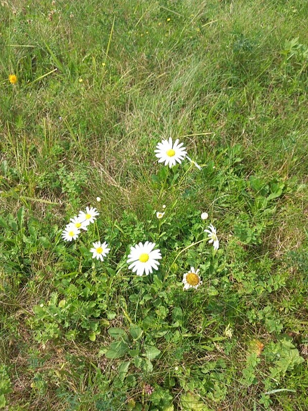 Dovolen v Luickch horch 2024