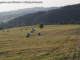 Stoupáme nad Olenici v Orlických horách. Záí 2024
