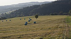 Stoupáme nad Ole�nici v Orlických horách. Zá�í 2024