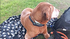 Rumí�ek, Rum�tajn