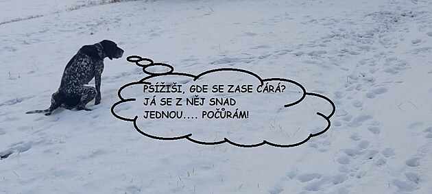 �t�dr� den 2024