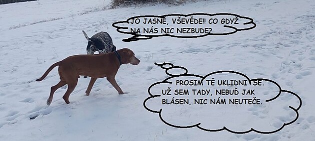 �t�dr� den 2024