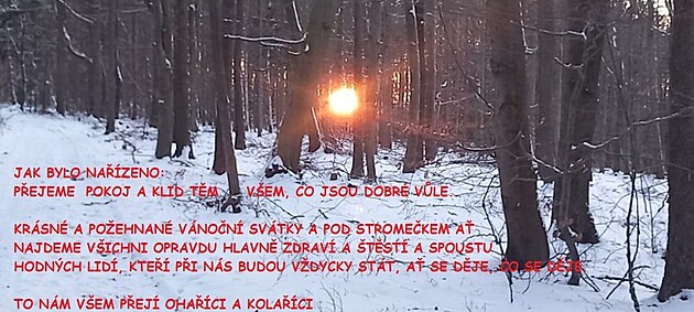 �t�dr� den 2024