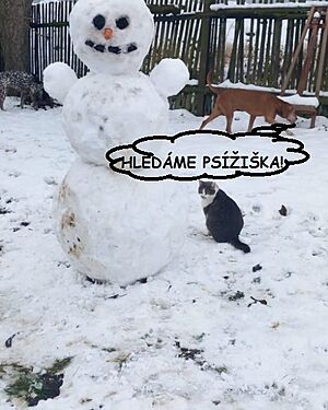 �t�dr� den 2024