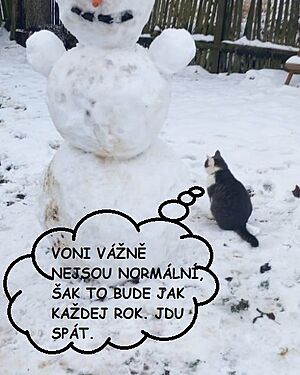 �t�dr� den 2024