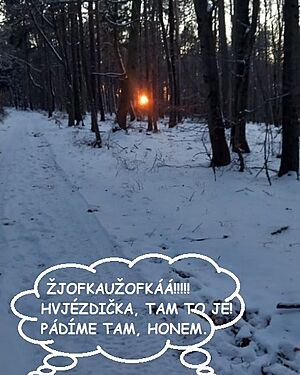 �t�dr� den 2024