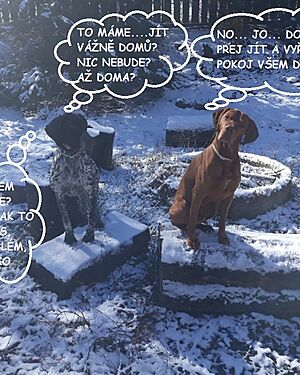 �t�dr� den 2024