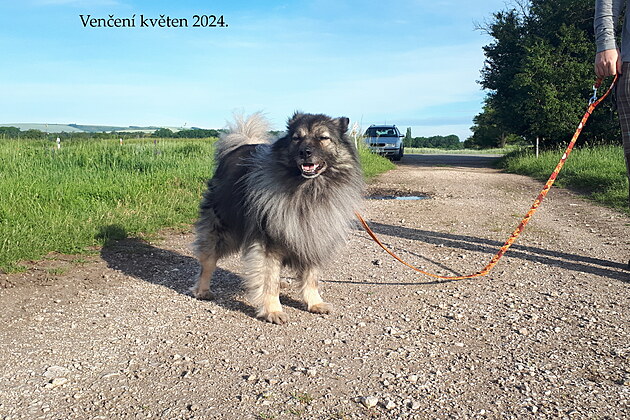 Feris Zimn� sen 2024