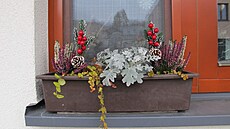 Zimní truhlík, Mod�any, prosinec 2024